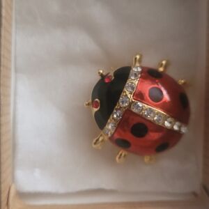 Elegant Ladybug Brooch in Red and Black